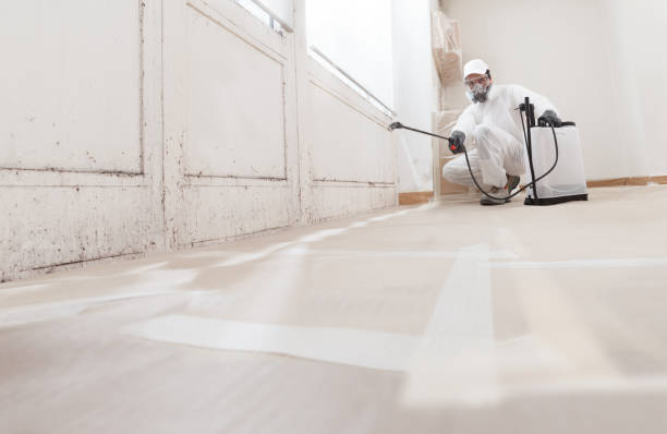 Black mold remediation team in Highlands